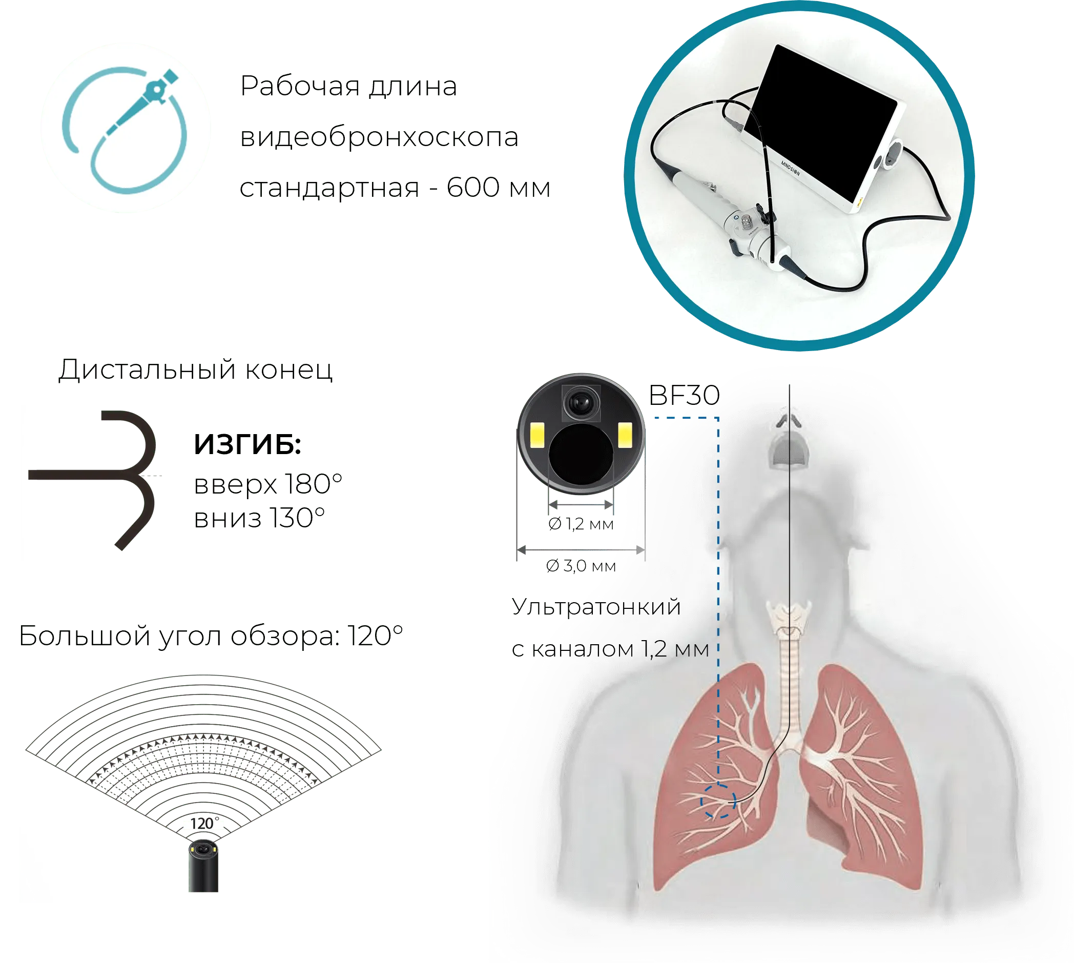 Характеристики видеобронхоскопов BF