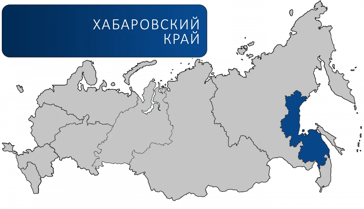 Наши партнеры